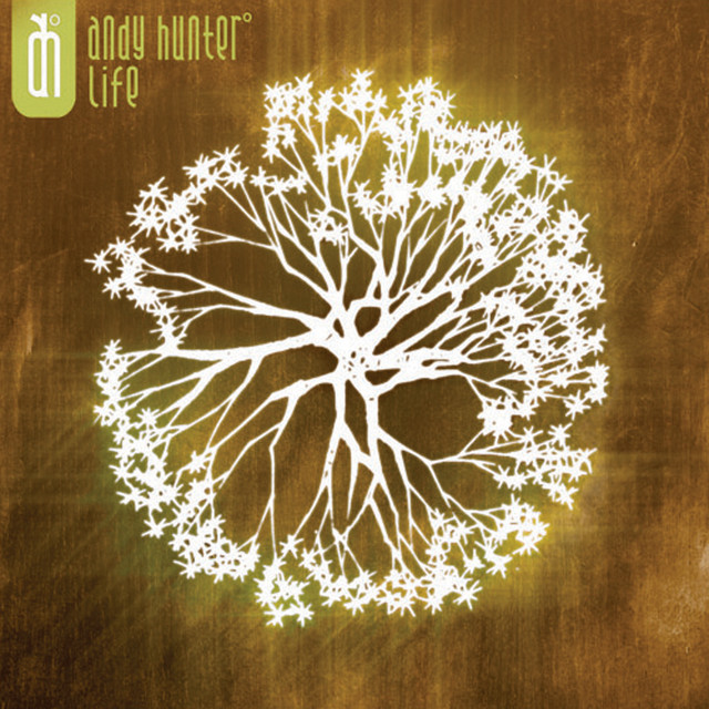 Pochette de l’album de Andy Hunter - Life - 1 janvier 2005 - Joshua Sage Newman (art direction, design)
