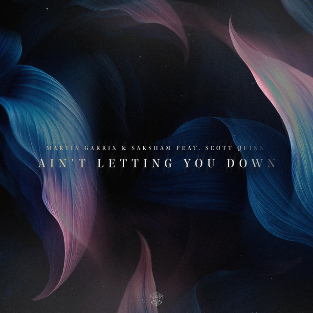Pochette du single de Martin Garrix & Saksham & Scott Quinn " Ain't Letting You Down " - Sortie 24 octobre 2025 - Source Spotify